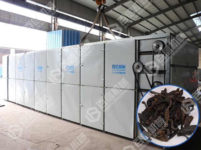 水蛭烘干機(jī)